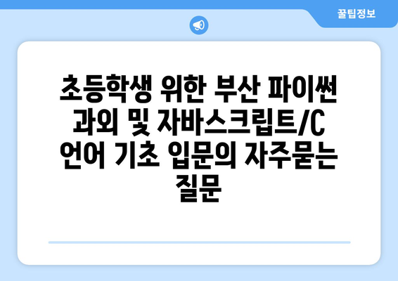 초등학생 위한 부산 파이썬 과외 및 자바스크립트/C 언어 기초 입문