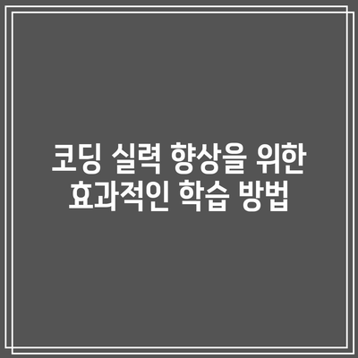 국비지원 IT 교육으로 코딩 배우기