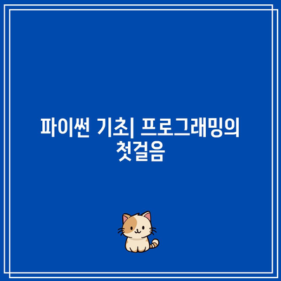 파이썬 기초부터 취업 성공까지