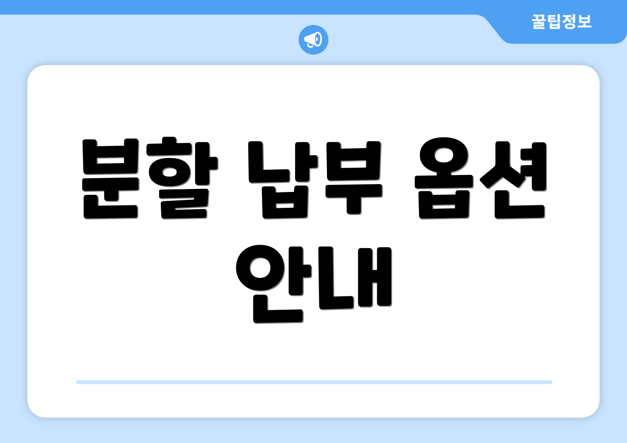 분할 납부 옵션 안내