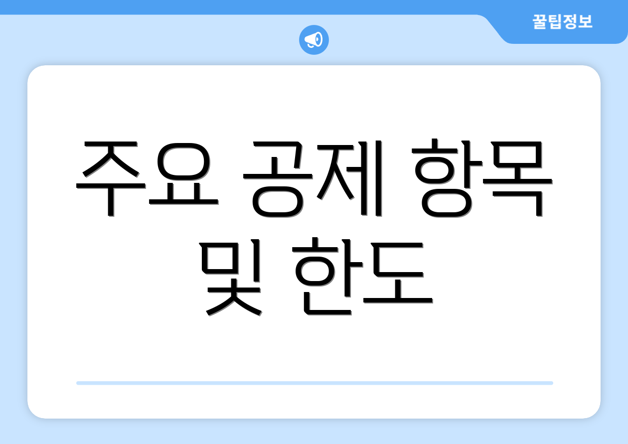 주요 공제 항목 및 한도