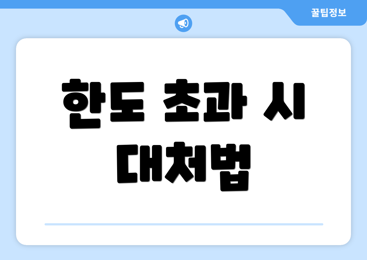 한도 초과 시 대처법